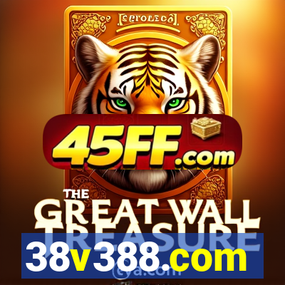 38v388.com