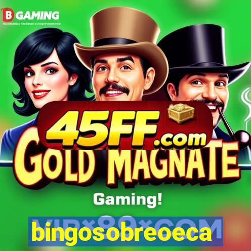 bingosobreoeca