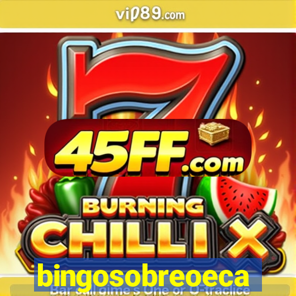 bingosobreoeca