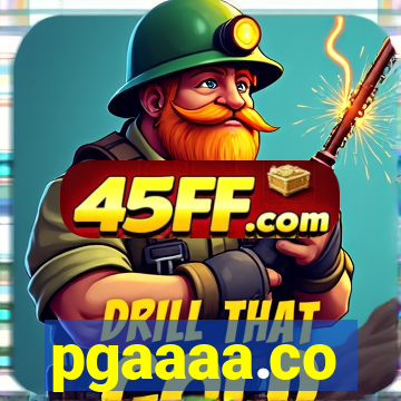 pgaaaa.co