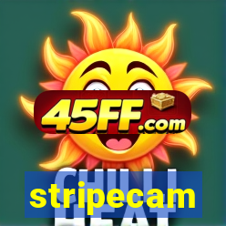stripecam