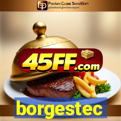 borgestec