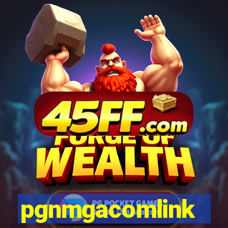 pgnmgacomlink