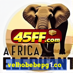 velhobebepg1.com